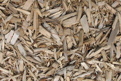 biomass boilers Trochry
